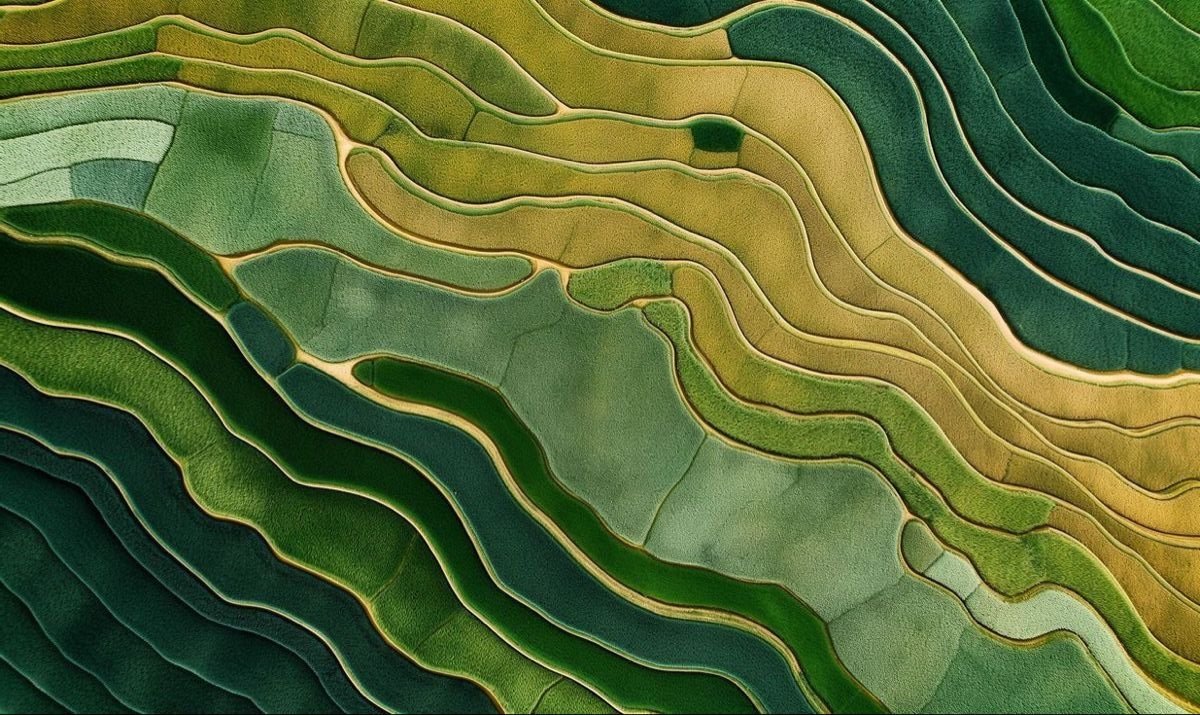 Vietnam landscape