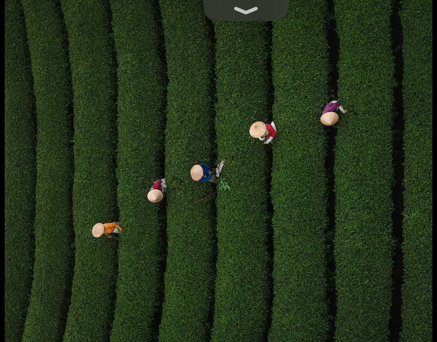 Vietnam landscape